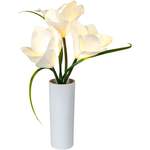 LED-Blumen Magnolia der Marke Weltbild