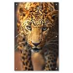 Sonnenschutz Leopard der Marke Wallario