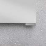 Tür von Lanzet, aus Aluminium, andere Perspektive, Vorschaubild