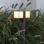 Eco-Light LED-Wegeleuchte der Marke Lutec