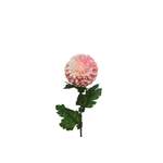 Kunstpflanze von MARELIDA, in der Farbe Rosa, aus Polyester, andere Perspektive, Vorschaubild