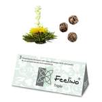 Feelino_Teaflower_white der Marke Feelino