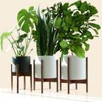 3-tlg. Pflanzenständer-Set der Marke Ebern Designs