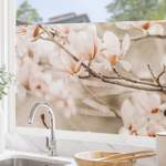 Fensterfolie Magnolienzweige der Marke Bilderwelten