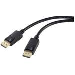 Renkforce DisplayPort der Marke Renkforce