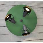 Deckenlampe von niermann, in der Farbe Grün, aus Holzwerkstoff, andere Perspektive, Vorschaubild