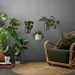 Pflanzenkübel von Eva Solo, in der Farbe Grau, aus Kunststoff, andere Perspektive, Vorschaubild