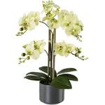 Kunstpflanze Orchidee, der Marke Creativ green