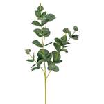 Kunstpflanze von formano, in der Farbe Grün, aus Kunststoff, andere Perspektive, Vorschaubild