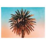 Wandbild Palm der Marke Komar