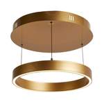 Deckenlampe von searchlight, in der Farbe Gold, aus Metall, andere Perspektive, Vorschaubild