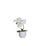 Kunstpflanze von Mica Decorations, in der Farbe Weiss, aus Polyester, andere Perspektive, Vorschaubild