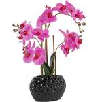 Kunstpflanze Orchidee der Marke Leonique