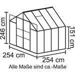 Gewächshaus von Vitavia, in der Farbe Schwarz, aus Esg-sicherheitsglas, andere Perspektive, Vorschaubild