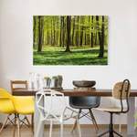 Leinwandbild Waldwiese der Marke Bilderwelten