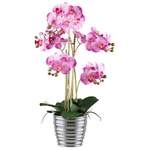 Kunstpflanze Phalaenopsis der Marke Fuchs Versand 24/7