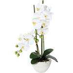 Kunstpflanze Orchidee der Marke Creativ green