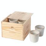 Teetassen-Set Grespresso der Marke Costa Nova