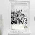 Rollo Zebra der Marke LICHTBLICK