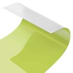 PVC-Spritzschutzpaneel Selbstklebend der Marke Ebern Designs