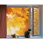 Fensterfolie Autumn der Marke Bilderwelten