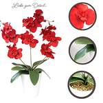 Kunstpflanze von Passion MaDe, in der Farbe Rot, aus Kunststoff, andere Perspektive, Vorschaubild