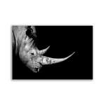 Rhinoceros by