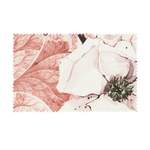 Bettwäsche-Garnitur von AURO, in der Farbe Rosa, aus Baumwolle, andere Perspektive, Vorschaubild