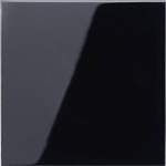 Steckdose von Jung, in der Farbe Schwarz, aus Glänzend, Vorschaubild