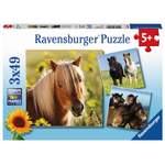 Spielzeug von Ravensburger, andere Perspektive, Vorschaubild