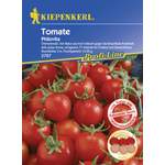 Kiepenkerl Tomate der Marke Kiepenkerl