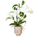 Kunstpflanze Orchideen-Arrangement