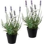 Kunstpflanze Lavendel, der Marke Creativ green