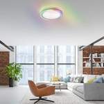 Deckenlampe von Just Light, in der Farbe Weiss, aus Eisen, andere Perspektive, Vorschaubild