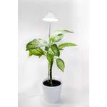 Venso LED-Pflanzenlampe der Marke Parus by Venso