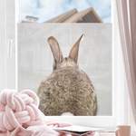 Fensterfolie Hase der Marke Bilderwelten