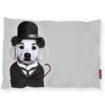 Hundebett Tramp der Marke We Love Cushions