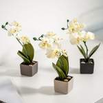 Kunstpflanze Orchideen der Marke Gärtner Pötschke