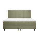 Boxspringbett Hollaway der Marke Canora Grey