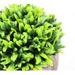 Kunstpflanze von I.GE.A., in der Farbe Grün, aus Kunststoff, andere Perspektive, Vorschaubild
