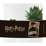 Harry Potter der Marke Decorsome