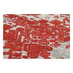 Teppich, in der Farbe Rot, aus Viskose, andere Perspektive, Vorschaubild