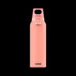 Thermo Trinkflasche der Marke Sigg