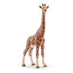 Schleich® Wild der Marke Schleich®