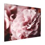 Hängetafel von Bilderwelten, in der Farbe Rosa, Vorschaubild