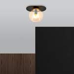 Deckenlampe von Scandinavian Choice, in der Farbe Schwarz, aus Pulverbeschichtet, andere Perspektive, Vorschaubild