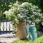 Blumentopf von Gärtner Pötschke, in der Farbe Weiss, andere Perspektive, Vorschaubild