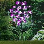 Hi LED-Solar-Orchidee der Marke SWEIKO