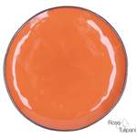 Geschirr von Rose & Tulpani, in der Farbe Orange, andere Perspektive, Vorschaubild