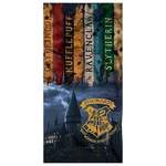 Harry Potter der Marke Harry Potter